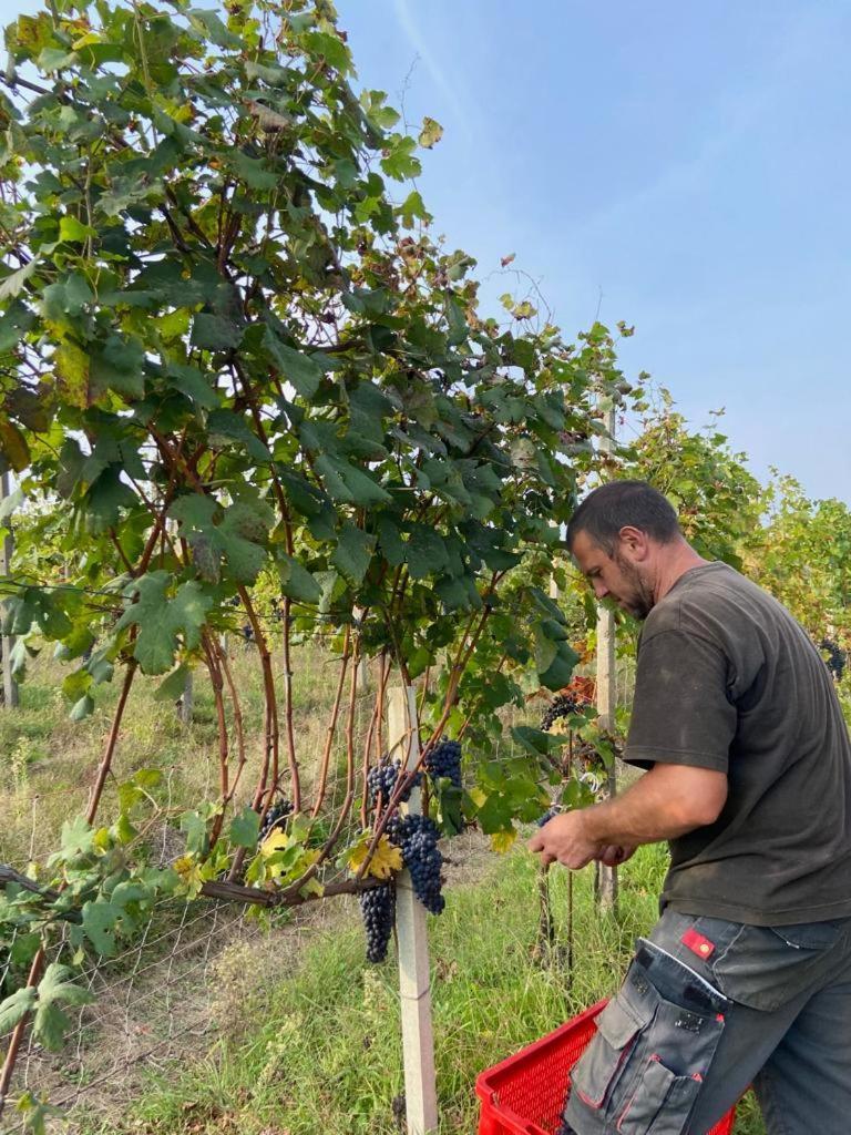 Agriturismo L'Antico Sapore Baraggia di Boca Eksteriør bilde
